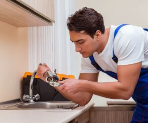About Plumbers Pros Perronville, MI